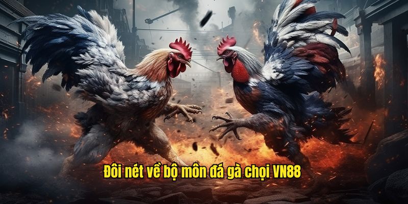 Đôi nét về bộ môn đá gà chọi VN88