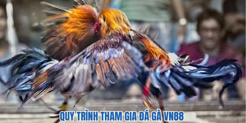 3 bước để tham gia đá gà vn88 nhanh chóng